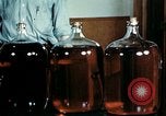 Standbild Dichloro-Diphenyl-Trichlorethan United States USA, 1944, aus Sekunde 46 historischem Filmmaterial Videoclip 65675077529