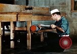Image dichlorodiphényl-trichloroéthane United States USA, 1944, de la seconde 14 séquences d'archives historiques vidéo 65675077530