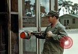 Image dichlorodiphényl-trichloroéthane United States USA, 1944, de la seconde 39 séquences d'archives historiques vidéo 65675077530