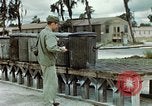 Image dichlorodiphényl-trichloroéthane United States USA, 1944, de la seconde 45 séquences d'archives historiques vidéo 65675077530