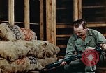 Image of Dichloro-Diphenyl-Trichloroethane United States USA, 1944, second 18 stock footage video 65675077532