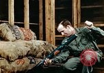 Image of Dichloro-Diphenyl-Trichloroethane United States USA, 1944, second 25 stock footage video 65675077532