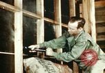 Image of Dichloro-Diphenyl-Trichloroethane United States USA, 1944, second 27 stock footage video 65675077532