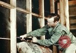 Image of Dichloro-Diphenyl-Trichloroethane United States USA, 1944, second 28 stock footage video 65675077532