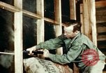 Image of Dichloro-Diphenyl-Trichloroethane United States USA, 1944, second 29 stock footage video 65675077532