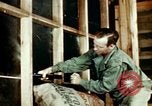 Image of Dichloro-Diphenyl-Trichloroethane United States USA, 1944, second 30 stock footage video 65675077532