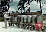 Image of Dichloro-Diphenyl-Trichloroethane United States USA, 1944, second 37 stock footage video 65675077532