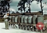 Image of Dichloro-Diphenyl-Trichloroethane United States USA, 1944, second 38 stock footage video 65675077532
