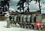 Image of Dichloro-Diphenyl-Trichloroethane United States USA, 1944, second 39 stock footage video 65675077532
