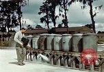 Image of Dichloro-Diphenyl-Trichloroethane United States USA, 1944, second 40 stock footage video 65675077532