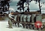 Image of Dichloro-Diphenyl-Trichloroethane United States USA, 1944, second 41 stock footage video 65675077532