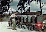 Image of Dichloro-Diphenyl-Trichloroethane United States USA, 1944, second 43 stock footage video 65675077532