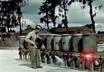 Image of Dichloro-Diphenyl-Trichloroethane United States USA, 1944, second 44 stock footage video 65675077532