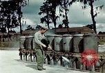 Image of Dichloro-Diphenyl-Trichloroethane United States USA, 1944, second 45 stock footage video 65675077532