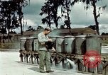 Image of Dichloro-Diphenyl-Trichloroethane United States USA, 1944, second 46 stock footage video 65675077532