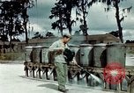 Image of Dichloro-Diphenyl-Trichloroethane United States USA, 1944, second 47 stock footage video 65675077532