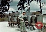 Image of Dichloro-Diphenyl-Trichloroethane United States USA, 1944, second 48 stock footage video 65675077532