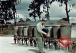 Image of Dichloro-Diphenyl-Trichloroethane United States USA, 1944, second 49 stock footage video 65675077532