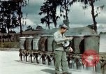 Image of Dichloro-Diphenyl-Trichloroethane United States USA, 1944, second 50 stock footage video 65675077532