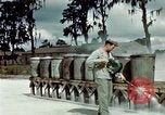 Image of Dichloro-Diphenyl-Trichloroethane United States USA, 1944, second 51 stock footage video 65675077532