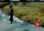 Image of Dichloro-Diphenyl-Trichloroethane United States USA, 1944, second 1 stock footage video 65675077533