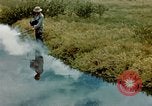 Image of Dichloro-Diphenyl-Trichloroethane United States USA, 1944, second 3 stock footage video 65675077533