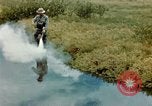 Image of Dichloro-Diphenyl-Trichloroethane United States USA, 1944, second 4 stock footage video 65675077533