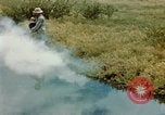 Image of Dichloro-Diphenyl-Trichloroethane United States USA, 1944, second 5 stock footage video 65675077533
