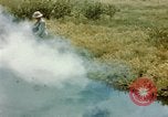 Image of Dichloro-Diphenyl-Trichloroethane United States USA, 1944, second 6 stock footage video 65675077533