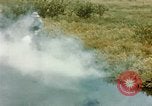 Image of Dichloro-Diphenyl-Trichloroethane United States USA, 1944, second 7 stock footage video 65675077533