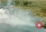 Image of Dichloro-Diphenyl-Trichloroethane United States USA, 1944, second 8 stock footage video 65675077533