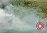 Image of Dichloro-Diphenyl-Trichloroethane United States USA, 1944, second 9 stock footage video 65675077533