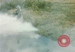 Image of Dichloro-Diphenyl-Trichloroethane United States USA, 1944, second 11 stock footage video 65675077533