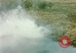 Image of Dichloro-Diphenyl-Trichloroethane United States USA, 1944, second 13 stock footage video 65675077533