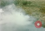 Image of Dichloro-Diphenyl-Trichloroethane United States USA, 1944, second 14 stock footage video 65675077533