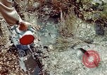 Image of Dichloro-Diphenyl-Trichloroethane United States USA, 1944, second 25 stock footage video 65675077533