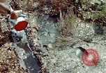 Image of Dichloro-Diphenyl-Trichloroethane United States USA, 1944, second 26 stock footage video 65675077533