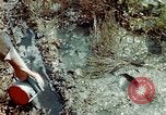 Image of Dichloro-Diphenyl-Trichloroethane United States USA, 1944, second 27 stock footage video 65675077533