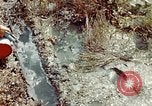 Image of Dichloro-Diphenyl-Trichloroethane United States USA, 1944, second 29 stock footage video 65675077533