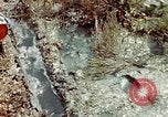 Image of Dichloro-Diphenyl-Trichloroethane United States USA, 1944, second 30 stock footage video 65675077533