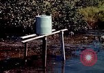 Image of Dichloro-Diphenyl-Trichloroethane United States USA, 1944, second 31 stock footage video 65675077533
