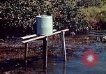 Image of Dichloro-Diphenyl-Trichloroethane United States USA, 1944, second 32 stock footage video 65675077533