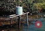 Image of Dichloro-Diphenyl-Trichloroethane United States USA, 1944, second 33 stock footage video 65675077533