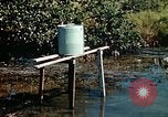 Image of Dichloro-Diphenyl-Trichloroethane United States USA, 1944, second 35 stock footage video 65675077533