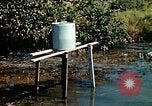 Image of Dichloro-Diphenyl-Trichloroethane United States USA, 1944, second 36 stock footage video 65675077533