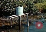 Image of Dichloro-Diphenyl-Trichloroethane United States USA, 1944, second 37 stock footage video 65675077533