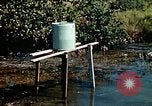 Image of Dichloro-Diphenyl-Trichloroethane United States USA, 1944, second 39 stock footage video 65675077533
