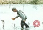 Image of Dichloro-Diphenyl-Trichloroethane United States USA, 1944, second 50 stock footage video 65675077533