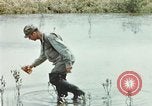Image of Dichloro-Diphenyl-Trichloroethane United States USA, 1944, second 52 stock footage video 65675077533