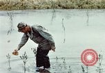 Image of Dichloro-Diphenyl-Trichloroethane United States USA, 1944, second 54 stock footage video 65675077533